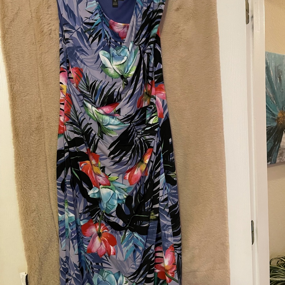 Dresses - Picture 15 of 16